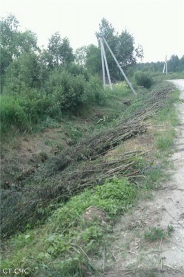 rabota2.jpg (107.43 КБ) 1578 просмотров rabota2.jpg