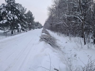 312f70d8792f.jpg (82.33 КБ) 3020 просмотров 312f70d8792f.jpg