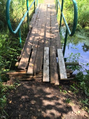 rabota1.jpg (349.57 КБ) 2347 просмотров rabota1.jpg