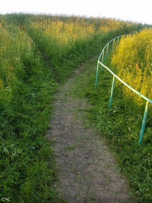 rabota2.jpg (357.46 КБ) 2083 просмотра rabota2.jpg