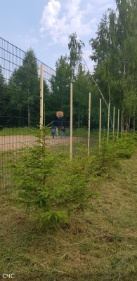 rabota2.jpg (229.67 КБ) 2626 просмотров rabota2.jpg